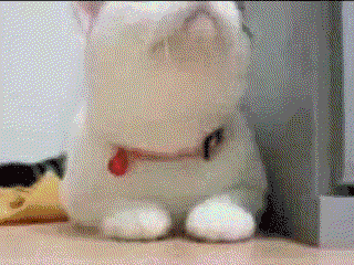 2ba7f49403.gif